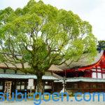 宗像大社 辺津宮