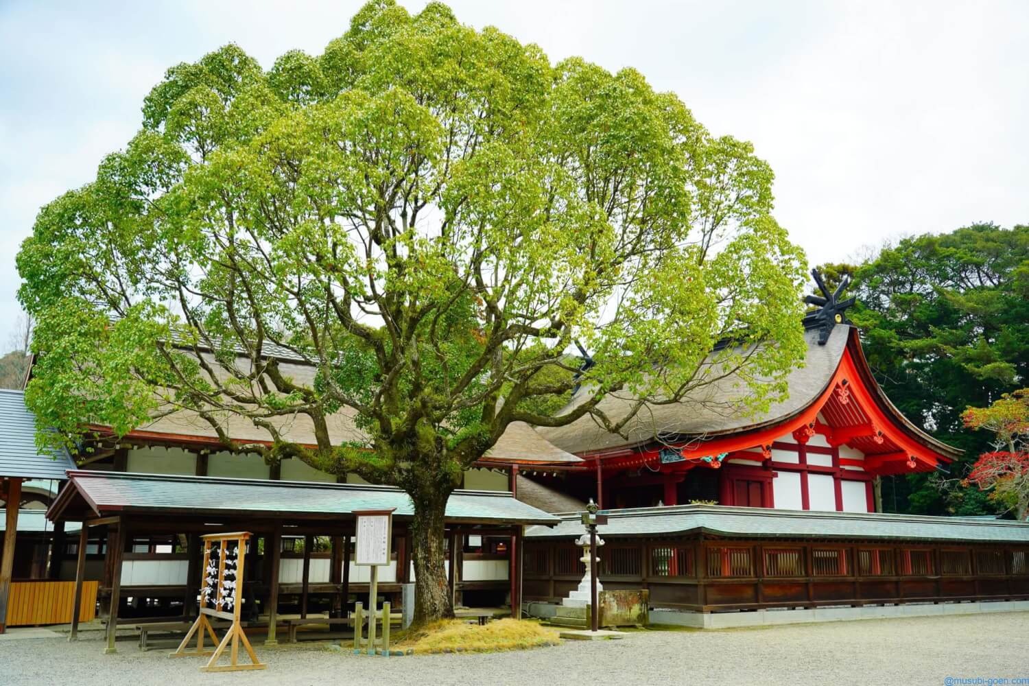 福岡 宗像大社の辺津宮を訪問 古代の祭祀も伝える世界遺産の神社 Lifetime Trip 福岡 宗像大社の辺津宮を訪問 古代の祭祀も伝える世界遺産の神社 Lifetime Trip