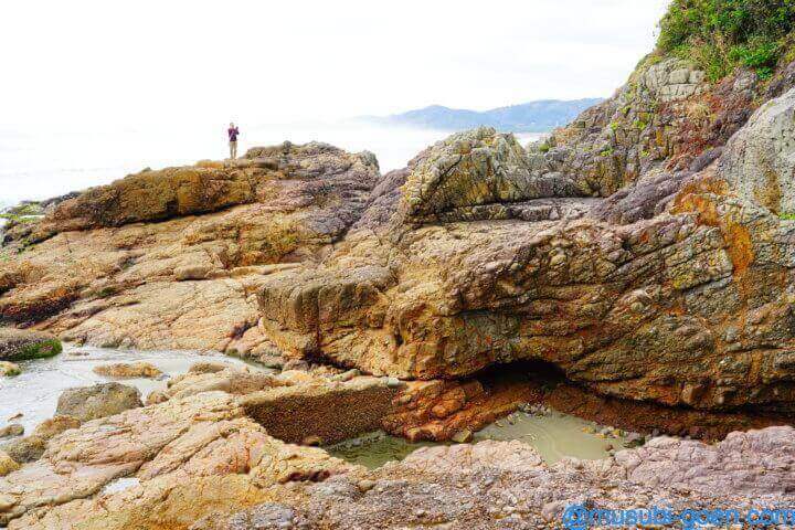 大御神社 鵜戸神社