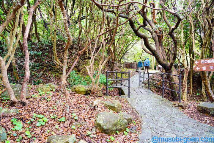 大御神社 鵜戸神社
