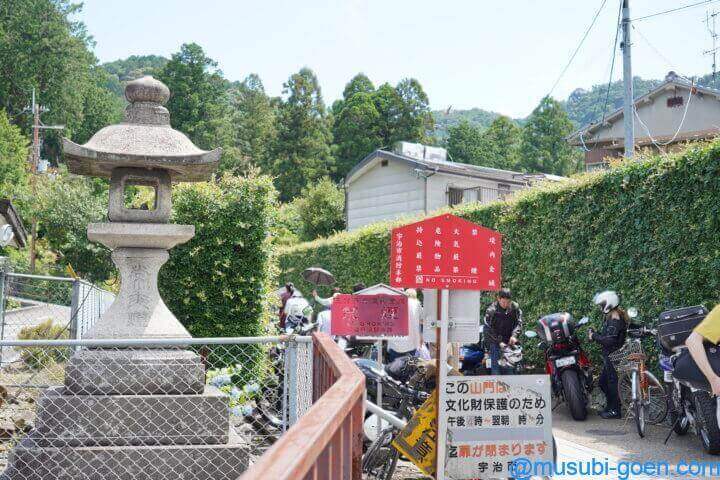 京都 宇治 あじさい 三室戸寺