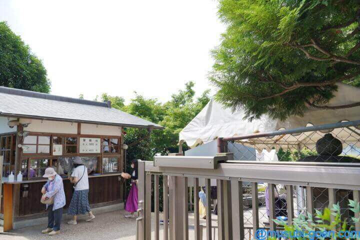 京都 宇治 あじさい 三室戸寺
