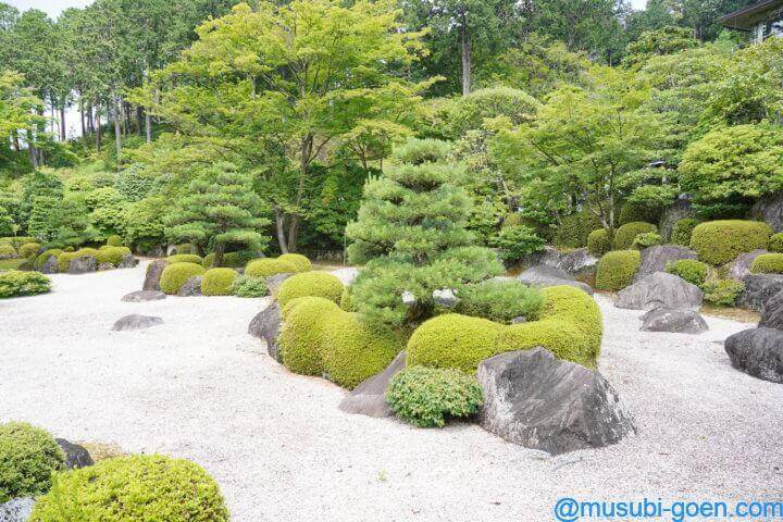 京都 宇治 あじさい 三室戸寺