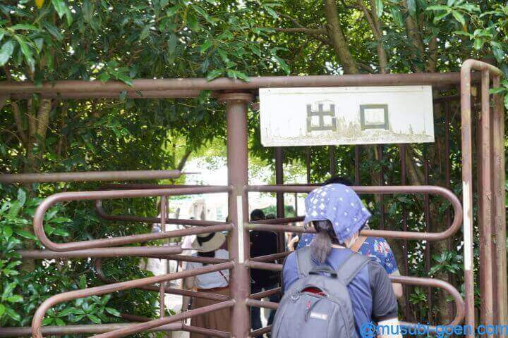京都 宇治 あじさい 三室戸寺