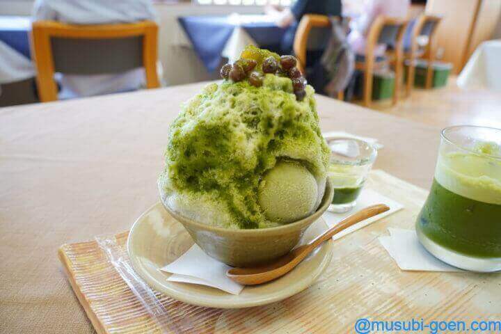 京都 宇治 あじさい 三室戸寺