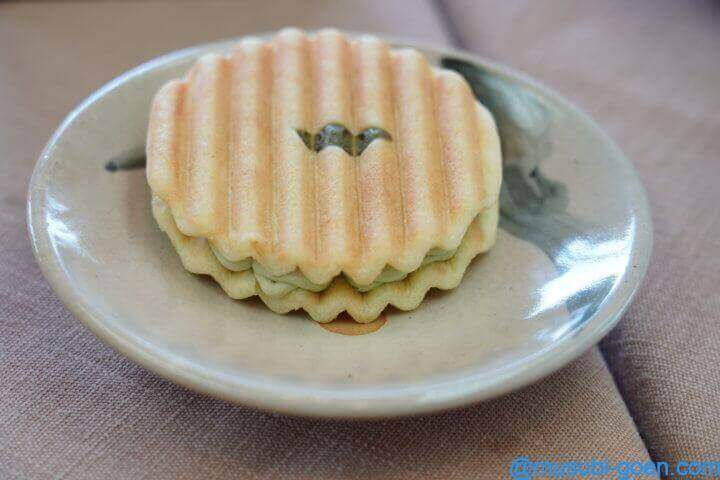 京都 宇治 あじさい 三室戸寺