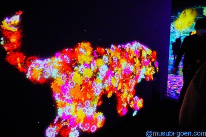 チームラボ Team Lab