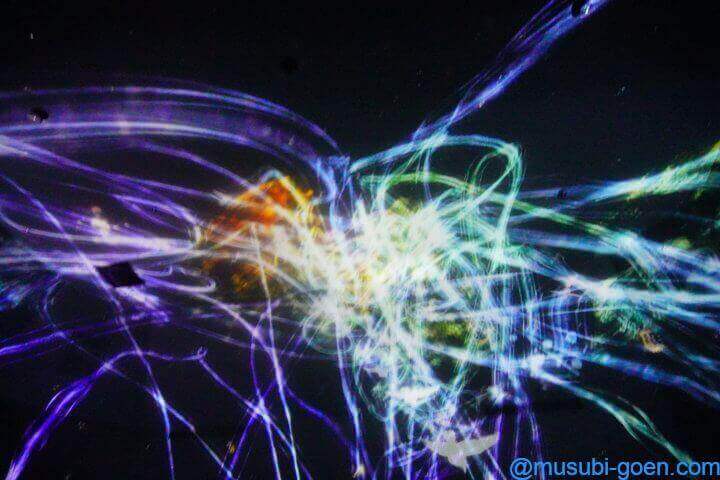 チームラボ Team Lab