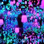 チームラボ Team Lab