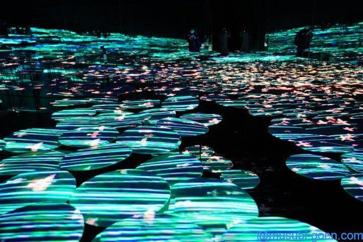 チームラボ Team Lab