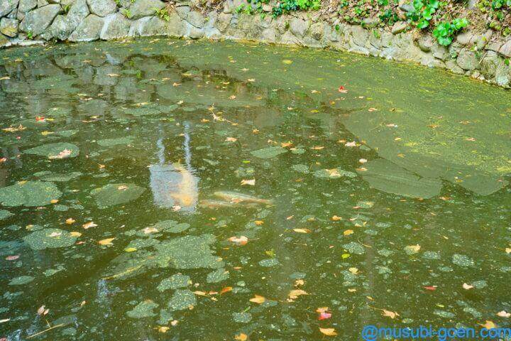 宗像大社 中津宮