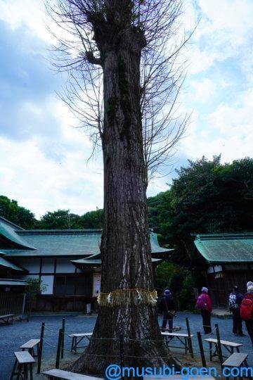 宗像大社 中津宮