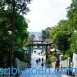 宮地嶽神社 光の道