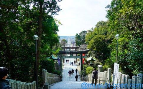 宮地嶽神社　光の道