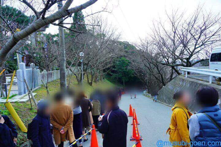宮地嶽神社 光の道