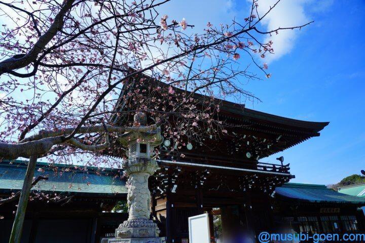 宮地嶽神社 光の道