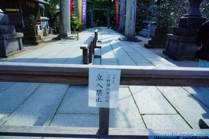 宮地嶽神社 光の道