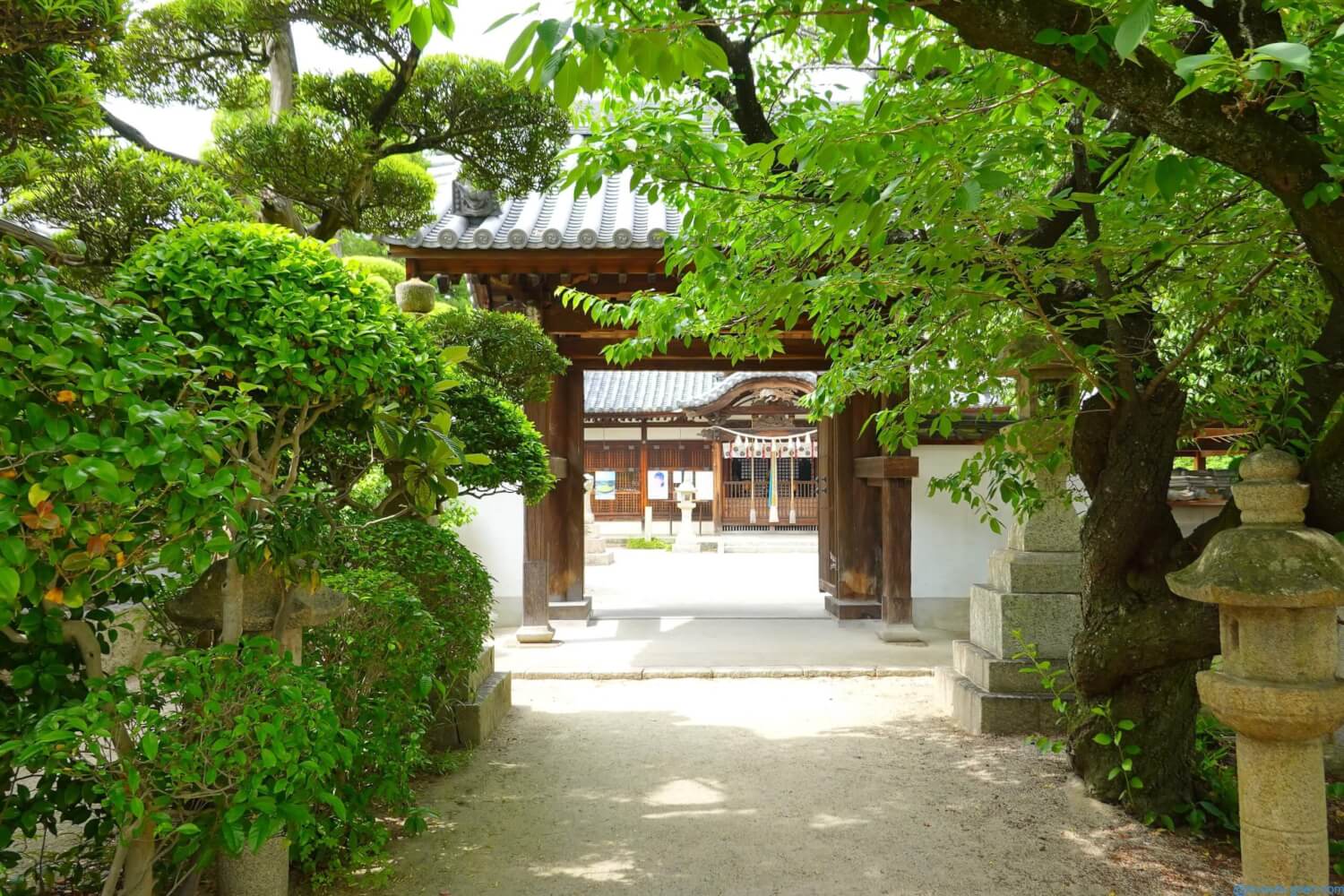 鳳だんじり祭り 日部神社