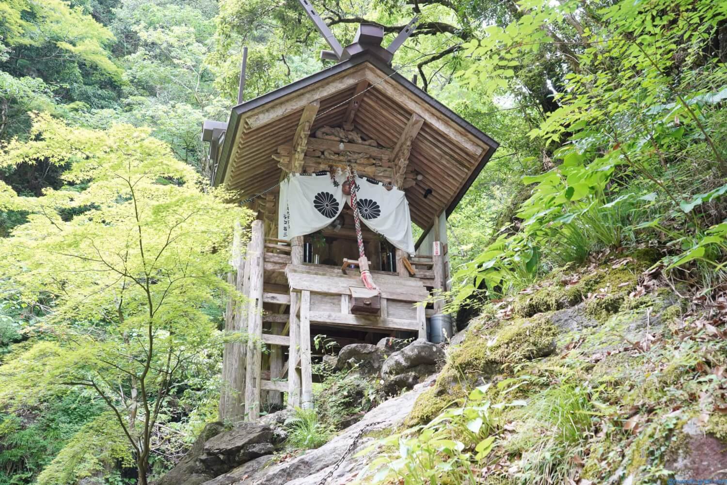 京都　天岩戸神社