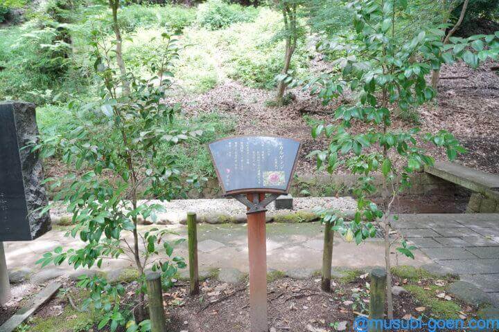 京都 宇治 宇治神社