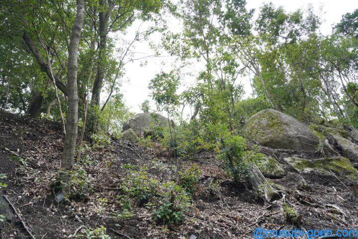 星田妙見宮 小松神社 大阪 御朱印