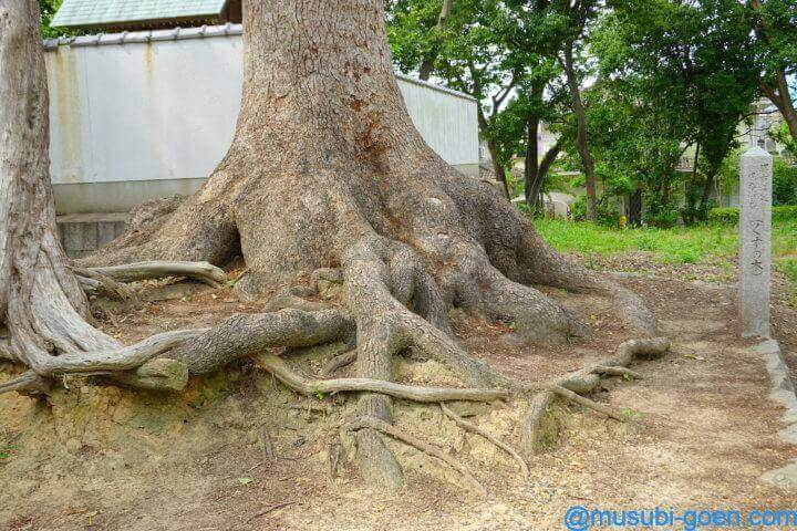 大鳥北濱神社 鳳だんじり祭 大鳥大社
