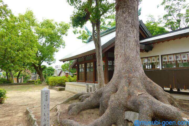 大鳥北濱神社 鳳だんじり祭 大鳥大社