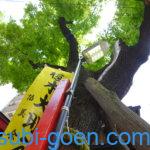 熊野街道 御祓筋 王子