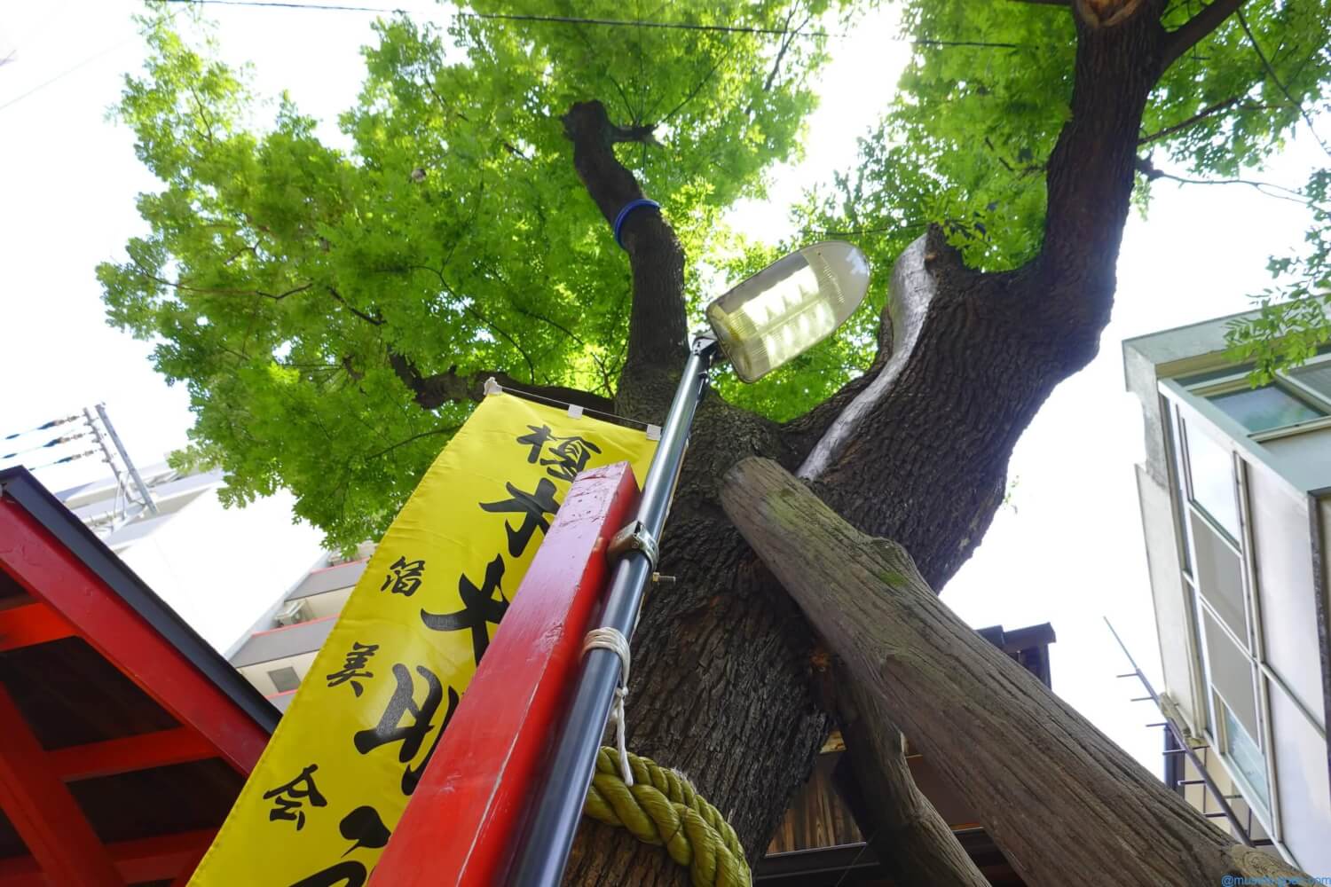 熊野街道 御祓筋 王子