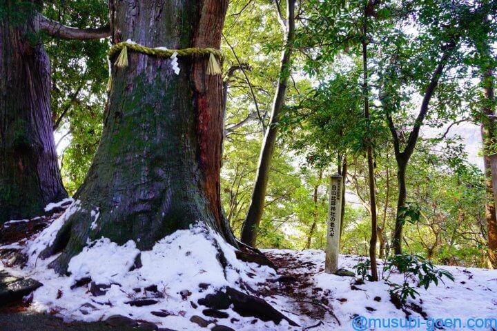 白山比咩神社 石川 加賀 一宮