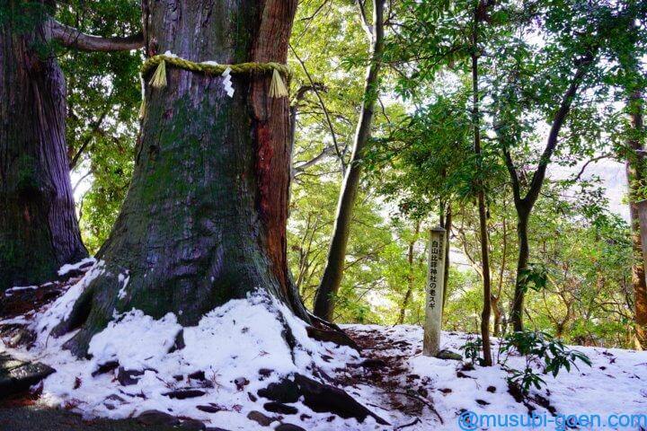 白山比咩神社　石川　加賀　一宮