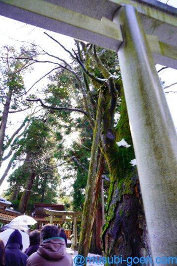 白山比咩神社 石川 加賀 一宮
