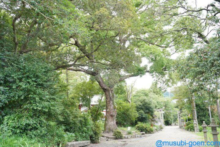 織物神社 七夕伝説 七夕祭り