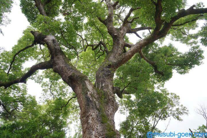 織物神社 七夕伝説 七夕祭り