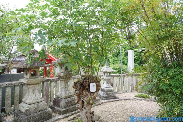 織物神社 七夕伝説 七夕祭り