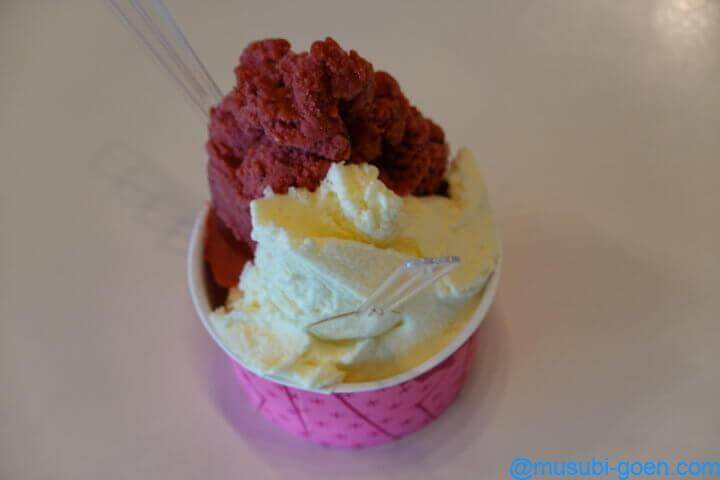 函館 観光 旅行 五稜郭 戊辰戦争 土方歳三