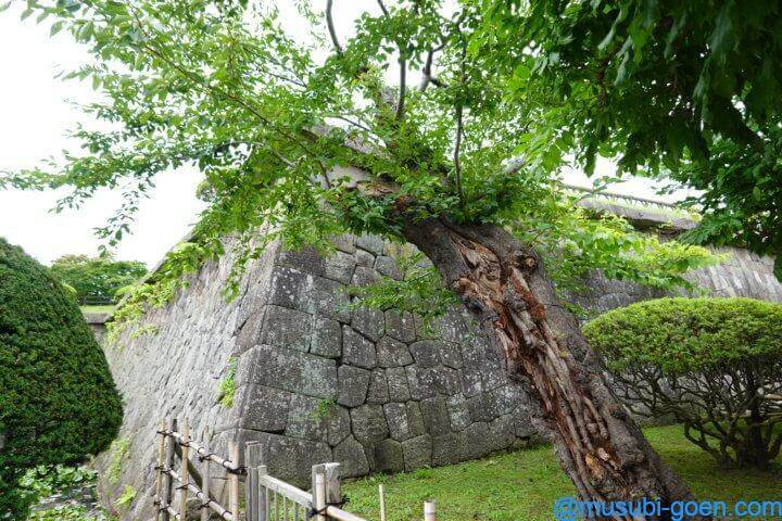 函館 観光 旅行 五稜郭 戊辰戦争 土方歳三