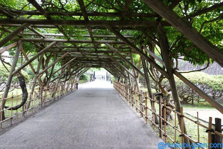 函館 観光 旅行 五稜郭 戊辰戦争 土方歳三