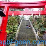 愛宕神社 東京 出世の石段
