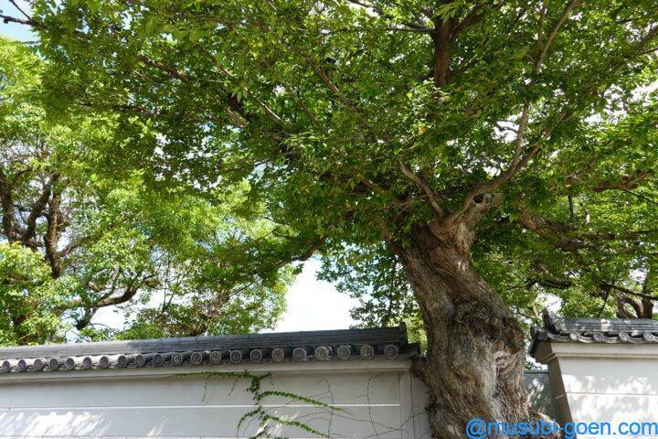 神戸 住吉 本住吉神社 神功皇后 だんじり 御朱印