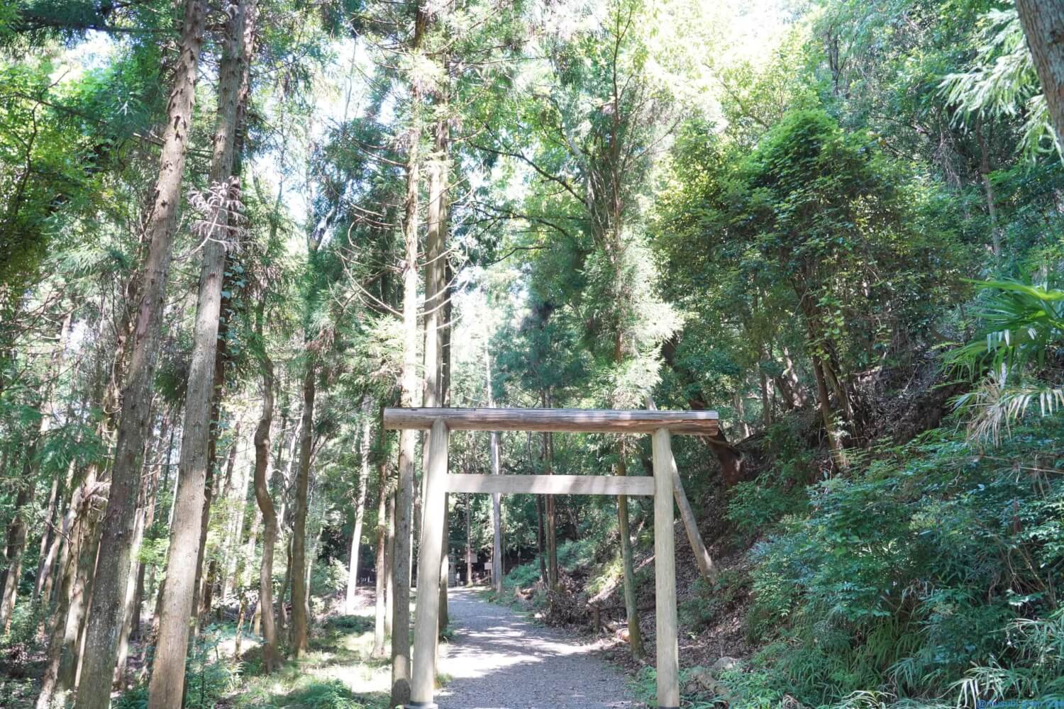 (京都)出雲大神宮を訪問。丹波国一宮。元出雲とも呼ばれ江戸時代までの出雲神社はここだった!(α7Ⅲ)はじめに祭神御由緒訪問記御朱印住所・行き方最後に
