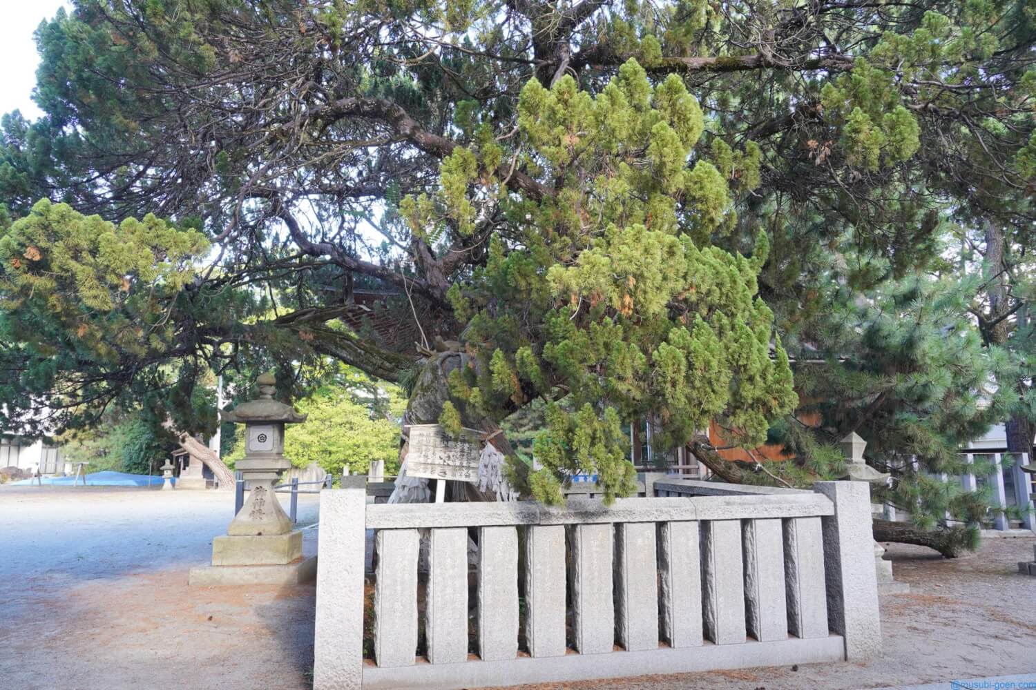 (兵庫)高砂神社を訪問。謡曲『高砂』の舞台になった相生松が有名。日本書紀にはないが神功皇后が創建したとされます(α7Ⅲ)はじめに御祭神御由緒訪問記御朱印住所・地図最後に
