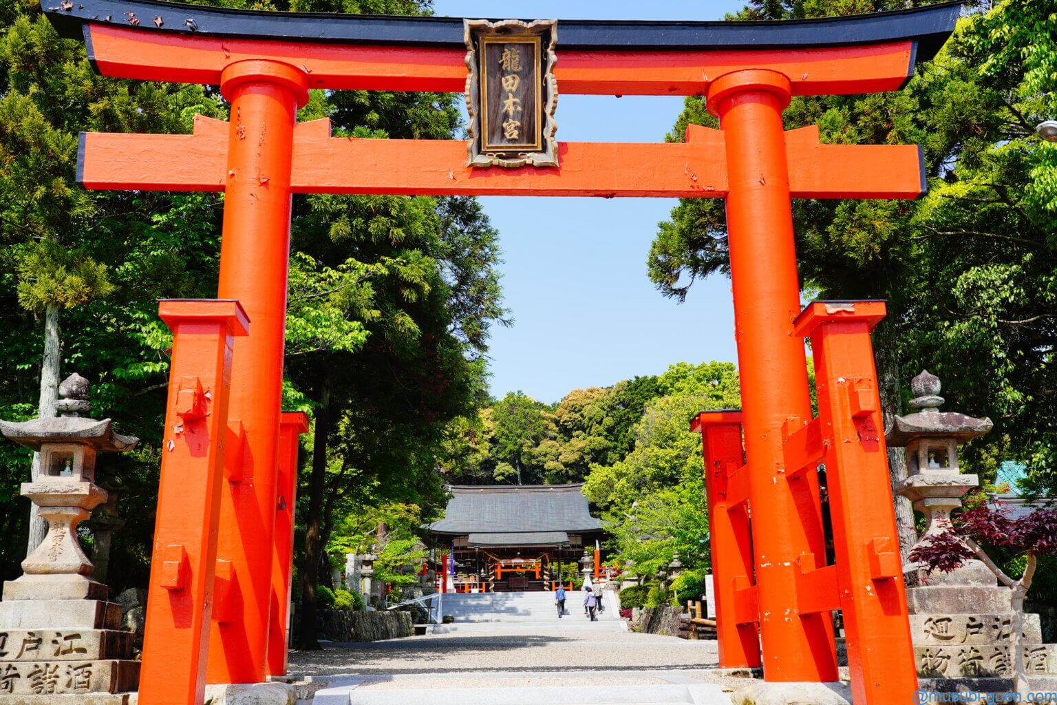 (兵庫)生石神社を訪問。山の中腹にある浮いて見える巨石が有名な日本三奇の1つ(α7Ⅲ)はじめに御祭神社格、御由緒訪問記御朱印地図、行き方最後に