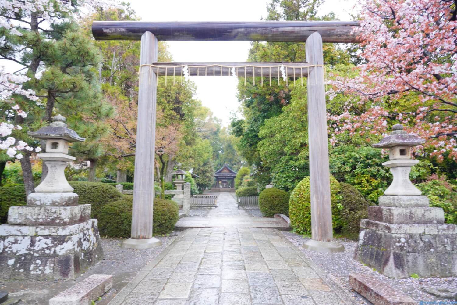 (京都)木嶋坐天照御魂神社(蚕の社)を訪問。古代史の中で不思議な一族・秦氏創建の神社。三柱鳥居は神秘的でした!(α7Ⅲ)はじめに御祭神御由緒など訪問記御朱印住所・地図参考図書さいごに